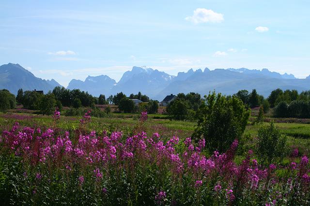 Norwegia (510).JPG - Lofoty - wyspa Langoya